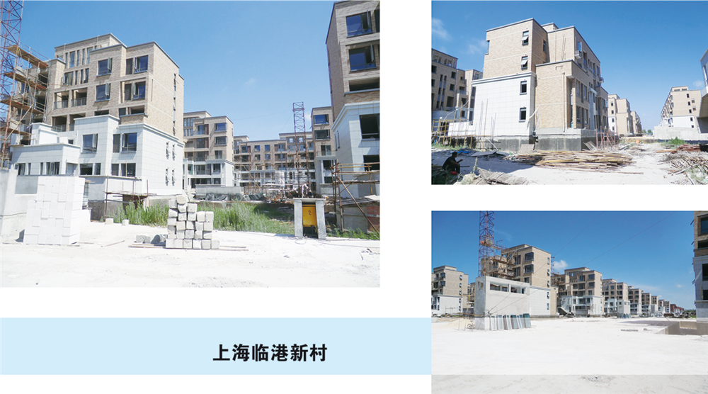 上海臨港新村